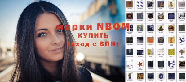 индика Иннополис