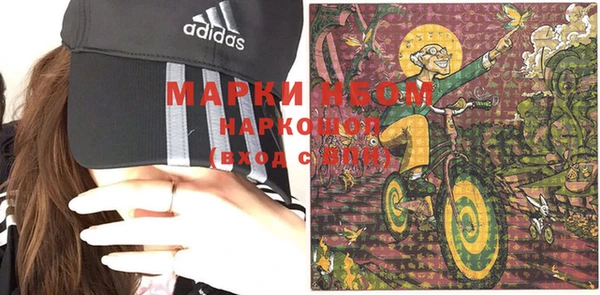 индика Иннополис
