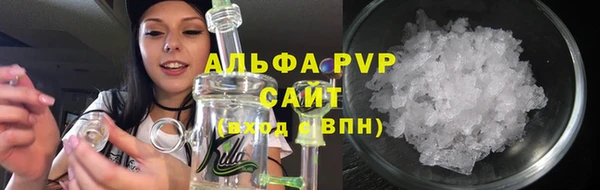 индика Иннополис