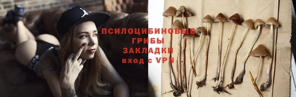 соль курить ск Инсар