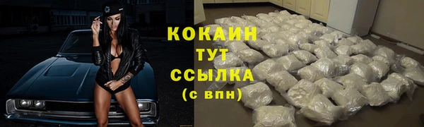 индика Иннополис
