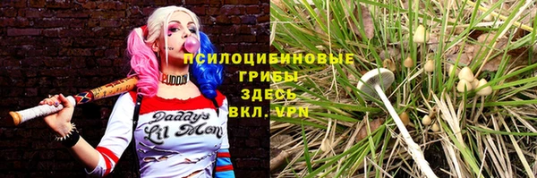 метадон Инта