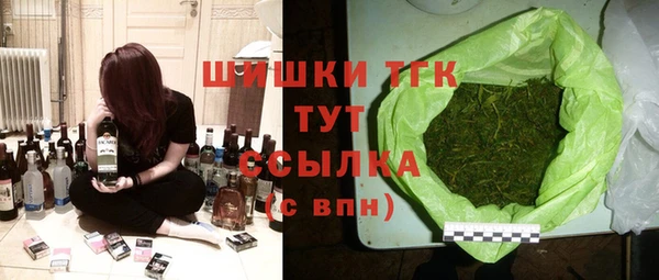 индика Иннополис