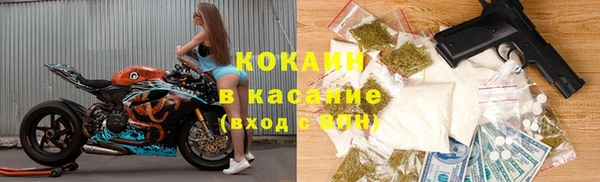 индика Иннополис