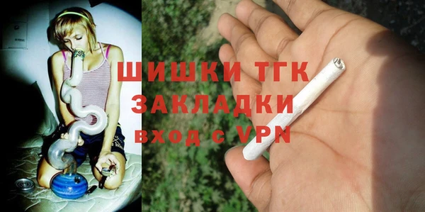 метадон Инта