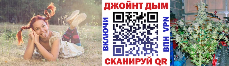 Бошки Шишки White Widow  MEGA ССЫЛКА  Пятигорск 